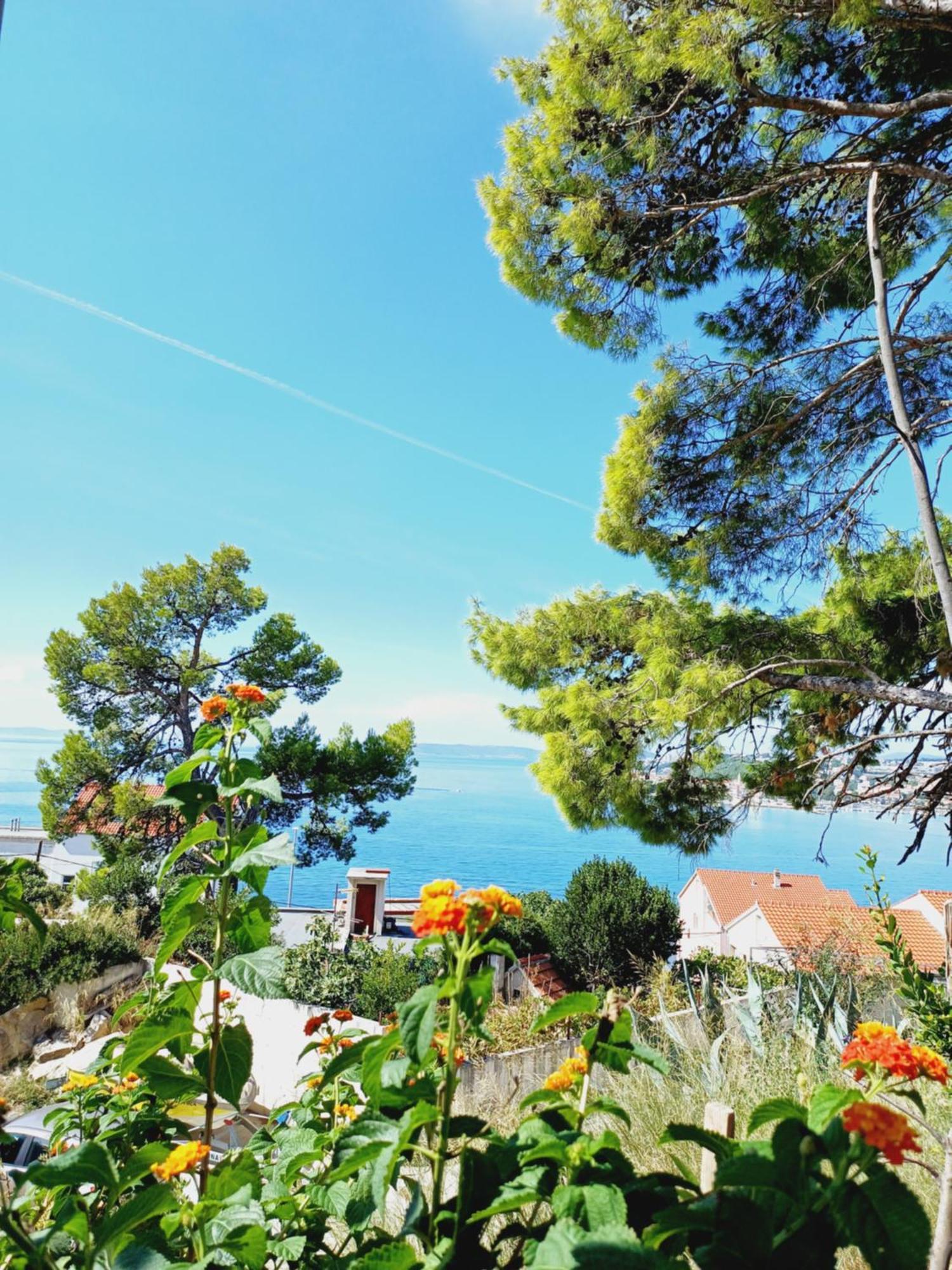 Apartments Jure Miljak Ποντστράνα Εξωτερικό φωτογραφία