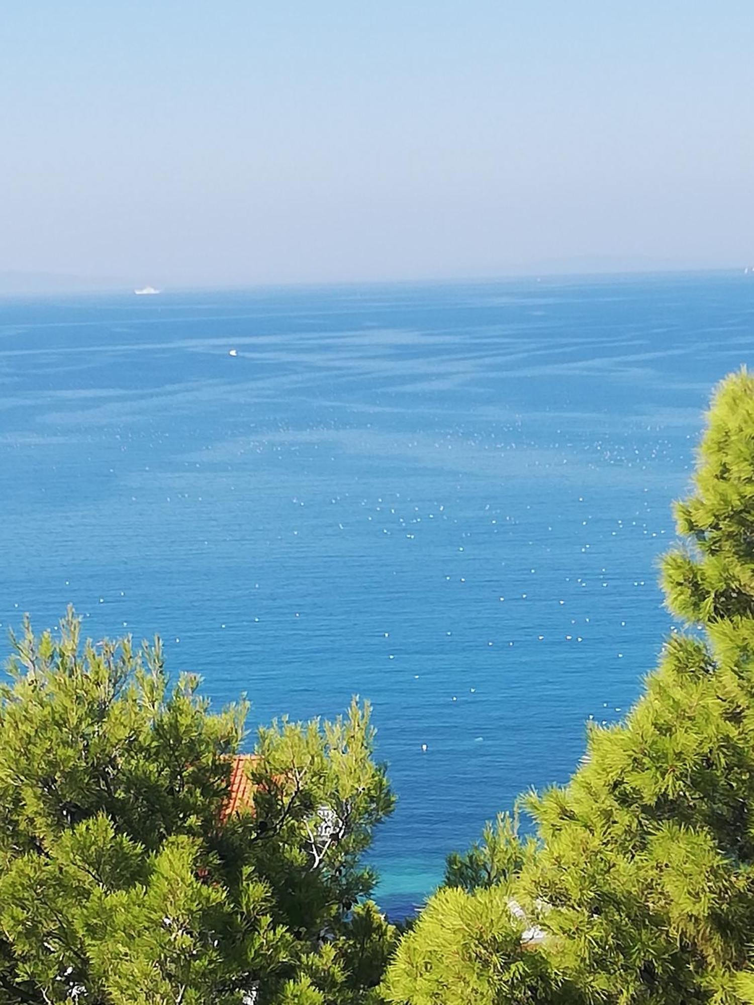 Apartments Jure Miljak Ποντστράνα Εξωτερικό φωτογραφία